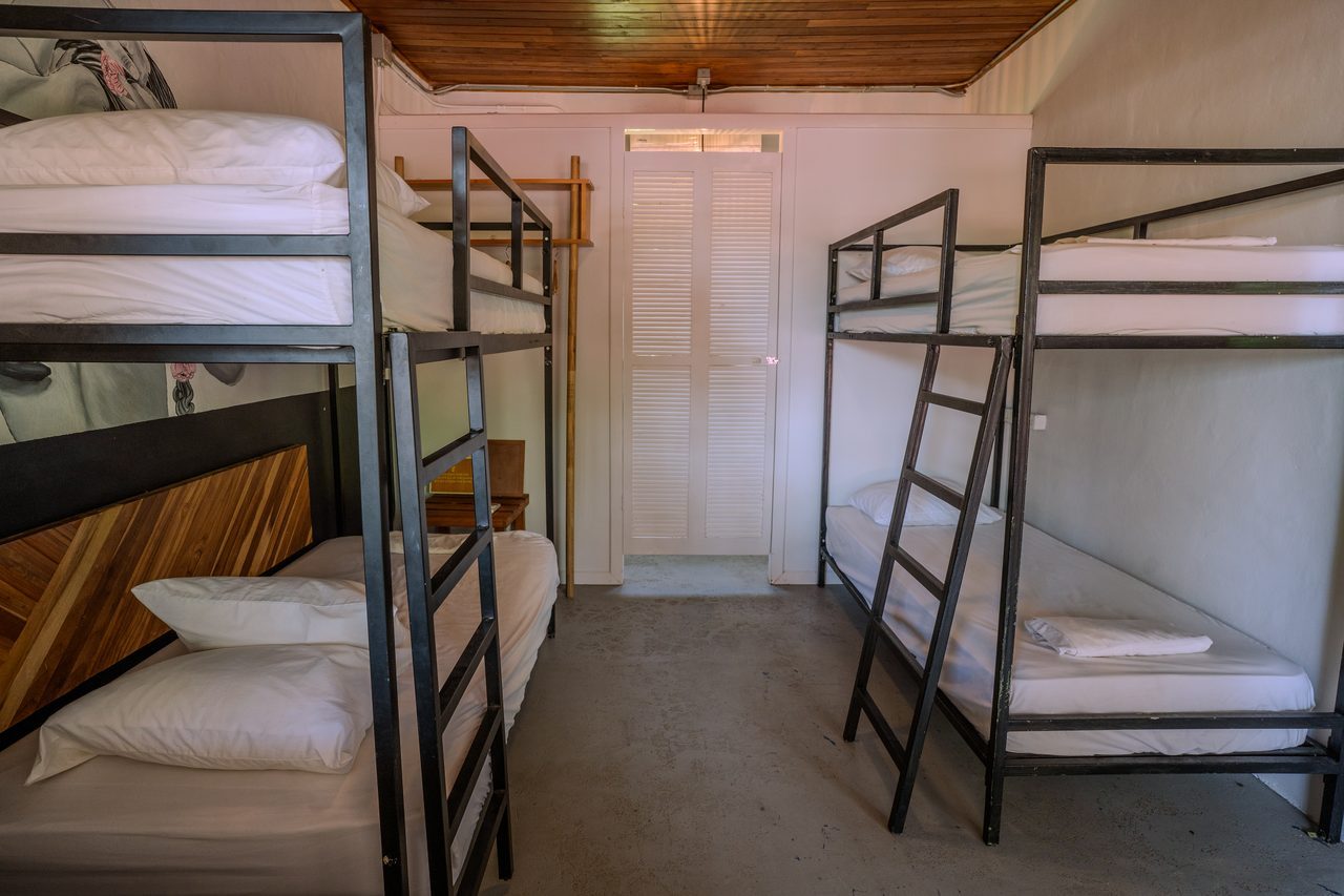 A bright four-bed dorm with steel-frame bunks, fresh white linens and a timber ceiling
