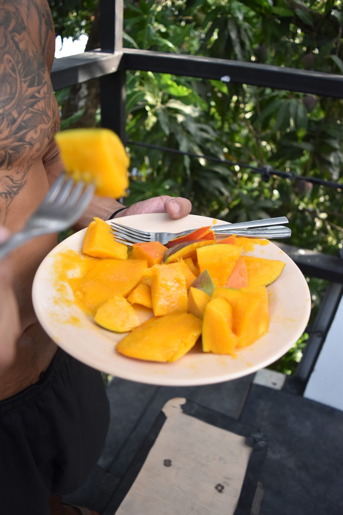 A plate of fresh mango and papaya served on the deck with jungle behind