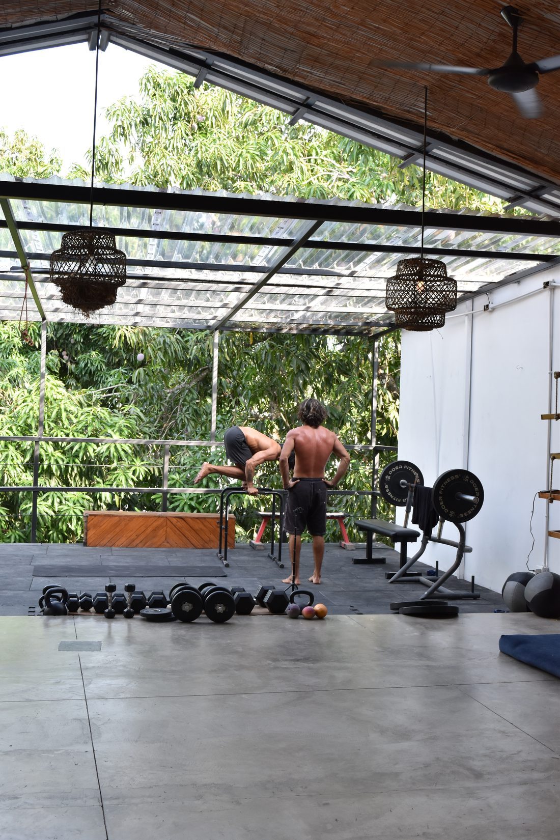 An open-air rooftop gym under a clear pergola roof, with a dumbbell rack and weight bench, jungle all around